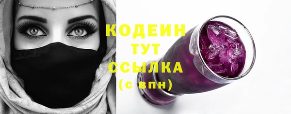 индика Баксан
