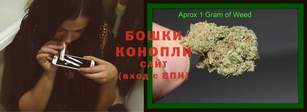 индика Баксан