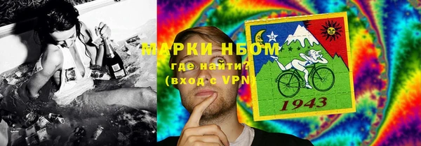 индика Баксан