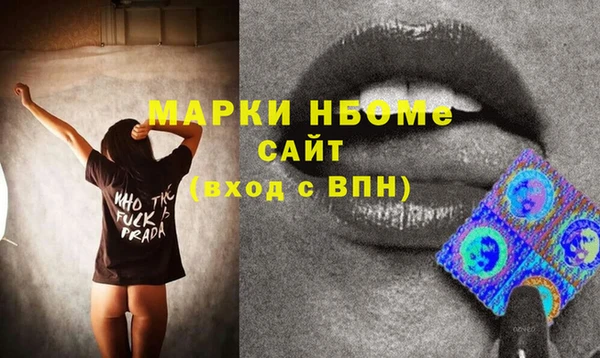 индика Баксан