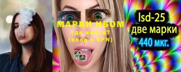 индика Баксан